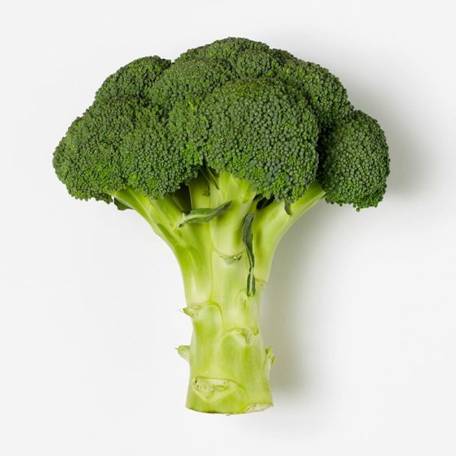 Hovedbilde Brokkoli