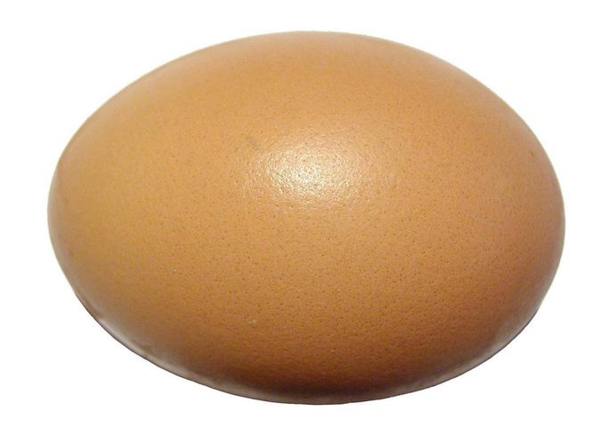 Hovedbilde Egg